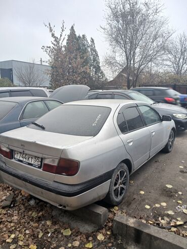 nissan разборка: Nissan Cefiro: 1998 г., 2 л, Автомат, Газ, Седан