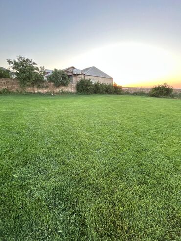 Bağ və bostan üçün digər məhsullar: Bağ və bostan üçün digər məhsullar