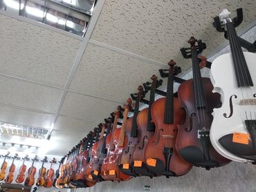 10052 elan | MUSIQI ALƏTLƏRI: Skripka 🎻Skiripkalar yeni hər ölçüdə Hər növdəFərqli modellərlə