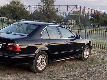 ноздри бмв е34: BMW 5 series: 2003 г., 2.5 л, Автомат, Бензин, Седан — 4