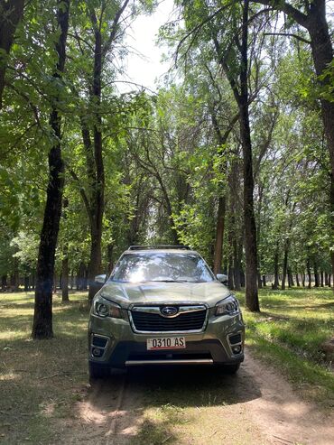 машина субару форестер: Subaru Forester: 2019 г., 2.5 л, Вариатор, Бензин, Кроссовер