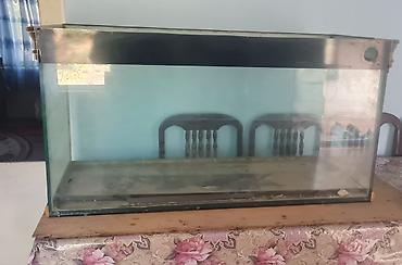 akvarium filterleri: Dördbucaq akvarium, Boş, 300 l — 1
