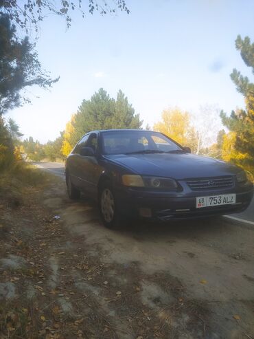 toyota камри 30: Toyota Camry: 1997 г., 2.2 л, Автомат, Бензин, Седан