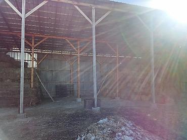 Продажа сельхоз предприятий: Продаётся недвижимость сельхозназначения с хозяйственным двором и — 8