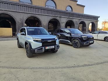дрон пульт: BYD FangChengBao Leopard 3: 2025 г., Автомат, Внедорожник — 1