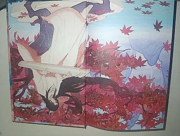 Китептер жана журналдар: Иллюстрированный роман «Цветы пиона на снегу». Том 2.Издание на — 3