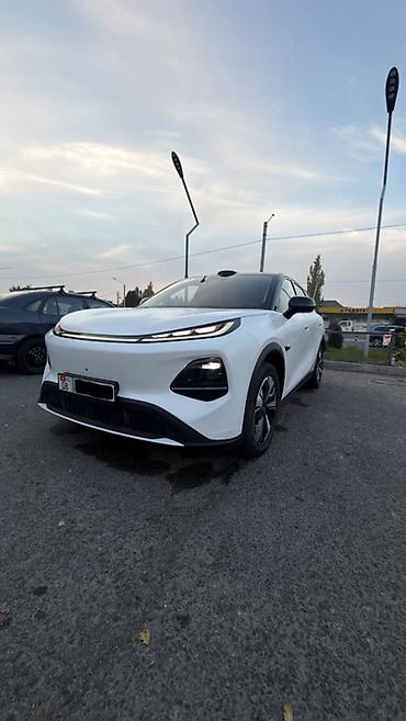 byd сигал: Zeekr : | 2026 г. Кроссовер — 3