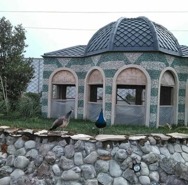 cay termusu: Tebii qaya ve cay daslarindan xususi zovqle gorulecek isler