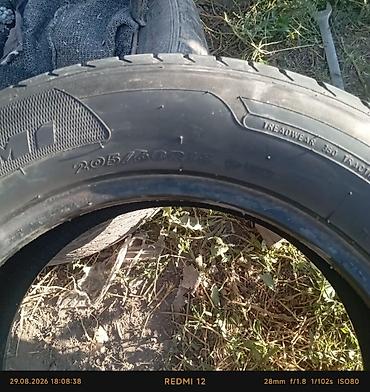 м макси: Шины 205 / 60 / R 15, Лето, Новый, 1 шт, Легковые, Maxxis — 3
