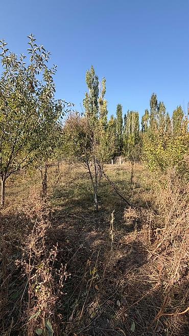 квадратный метр: 3 комнаты, 65 м², 11 соток, Шопоков, Агентство недвижимости — 7
