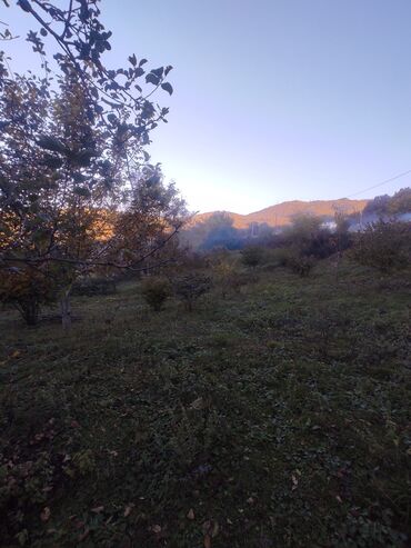 Bağ evlərinin satışı: İsmayıllı, 80 kv. m, 2 otaqlı, Hovuzsuz, Telefon, İnternet, İşıq -da lalafo.az — 4 Bağ evlərinin satışı: İsmayıllı, 80 kv. m, 2 otaqlı, Hovuzsuz, Telefon, İnternet, İşıq — 4