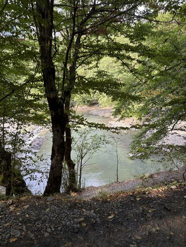 Günlük kirayə evlər: 50 kv. m, 4 otaqlı, Kombi, Qaz, İşıq — 6