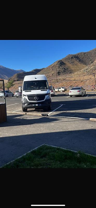 Mercedes-Benz: Mercedes-Benz Спринтер: 2008 г., 2.7 л, Механика, Дизель, Бус — 2