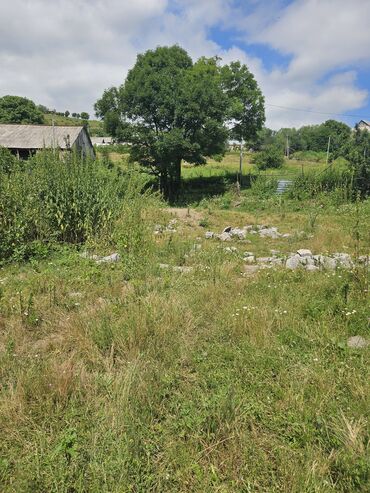 Torpaq sahələrinin satışı: Satış: Dağ mənzərəli torpaq sahəsi - Yaşıllıqla əhatəli, sakit təbiət — 6