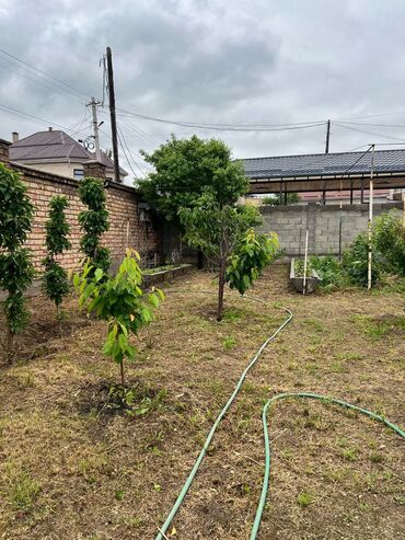 Продажа участков: 10 соток, Красная книга — 2