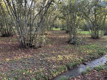 Torpaq sahələrinin satışı: 43 sot, Tikinti, Mülkiyyətçi, Kupça (Çıxarış) -da lalafo.az — 11 Torpaq sahələrinin satışı: 43 sot, Tikinti, Mülkiyyətçi, Kupça (Çıxarış) — 11