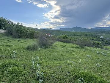 nzs qesebesinde 3 otaqli ev type 1: 23 sot, Tikinti, Kupça (Çıxarış) — 9
