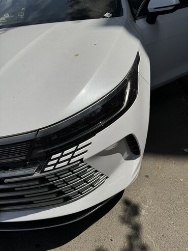 BYD: BYD Destroyer 05: 1.5 l | 2024 il 10000 km Sedan — 8