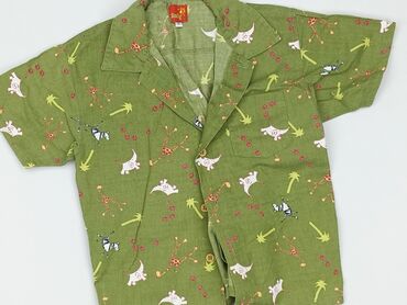 Shirts: Shirt 2-3 years, condition - Perfect, pattern - Print, color - Green