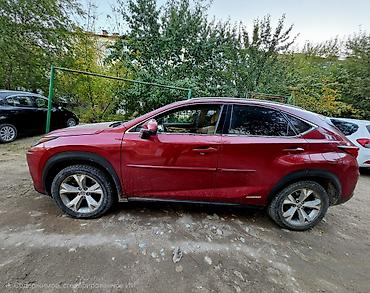 kia rio 2012: Lexus NX: 2017 г., 2.5 л, Автомат, Гибрид, Кроссовер — 5