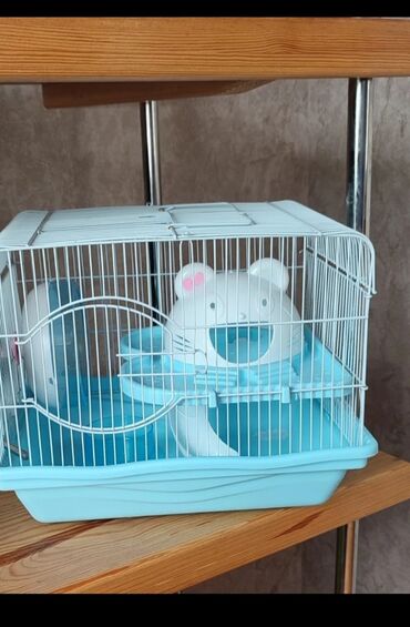 купить клетку для декоративного кролика: Продаю новую клетку вместе с одним хомячком. могу дать на первое
