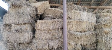 en yaxsi bugda sortu: 0t presi satilir. Ot xirda 3 yarpaq tebii yoncadan ibaretdir.xirda