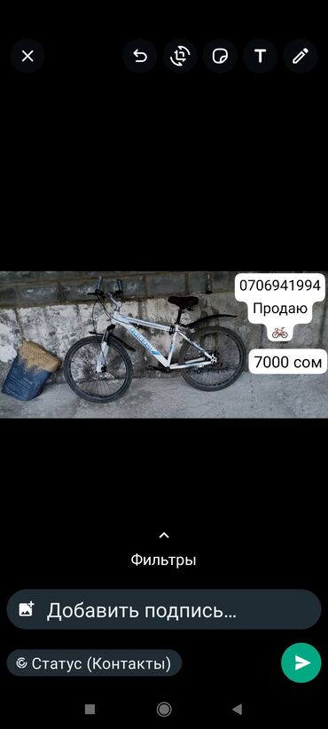 Спорт и хобби: Велосипеды