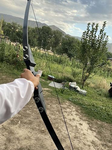 конный шлем: Срочно🚨Луки для традиционной стрельбы (набор из 4 шт.) - Традиционный — 7
