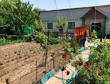 полтавка: 🏡 ПРОДАЁТСЯ УЮТНЫЙ ДОМ В СЕЛЕ ПОЛТАВКА! 📍 Жайылский район, ул — 10
