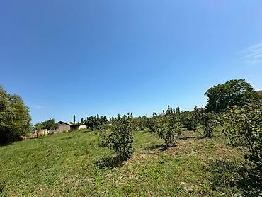 obyekt ucun torpaq: 20 sot, Tikinti, Mülkiyyətçi, Kupça (Çıxarış) — 4