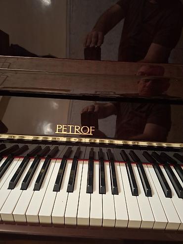 petrof: Piano, Petrof, Akustik, Yeni, Pulsuz çatdırılma — 3