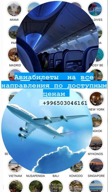 арзан муравей: Сиздерге арзан баада, ишенимдуу жана ынгайлуу авиабилеттерди