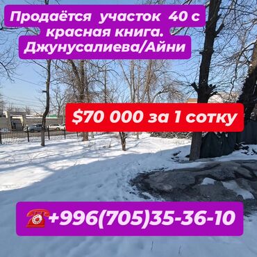 Продажа участков: 40 соток, Для строительства, Красная книга, Тех паспорт, Договор купли-продажи