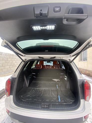 Hyundai: Hyundai Palisade: 2020 г., 2.2 л, Автомат, Дизель, Внедорожник — 15