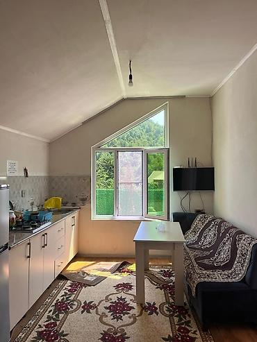 balaca ev: İcarəyə kənd evi – həyətyanı sahəsi və hovuzlu - Qapalı, yaşıllıqlı — 6
