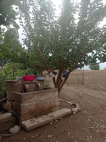 kursulu evler: 2 otaqlı, 4000 kv. m, Orta təmir — 9