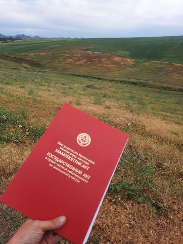 продаю дом нижная аларча: 6 соток, Для сельского хозяйства, Красная книга
