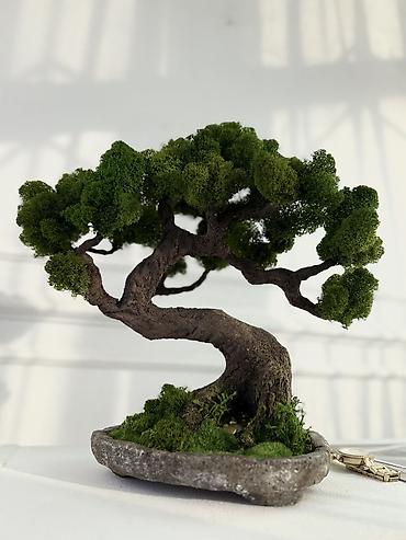 Другой декор и предметы интерьера: Декоративное дерево бонсай, выполненное из стабилизированного мха — 27