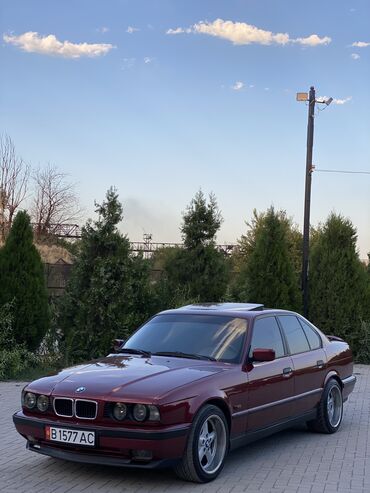 руль на х5: BMW 525: 1995 г., 2.5 л, Автомат, Бензин, Седан