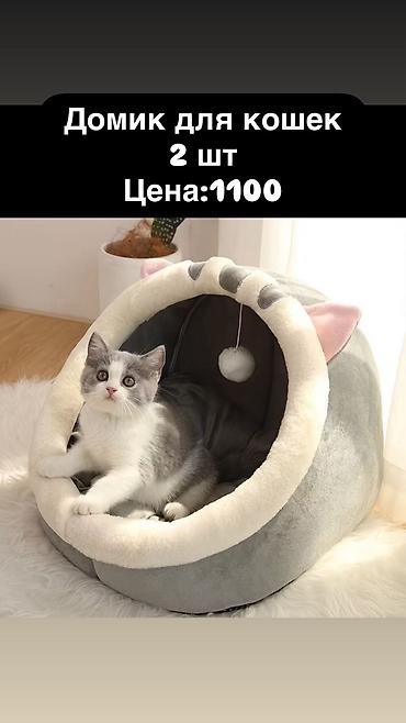 уличный домик для кошки: Зоотовары — 1