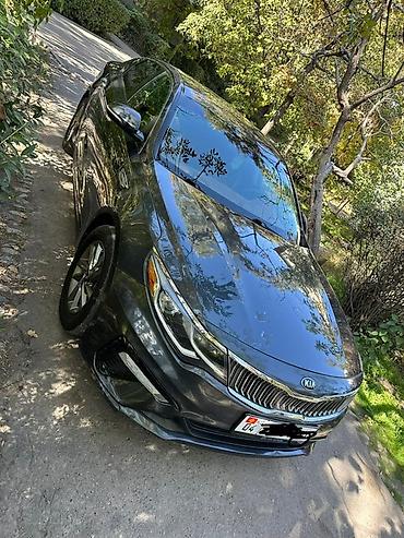 бампер передний киа оптима: Kia Optima: 2019 г., 2.4 л, Автомат, Бензин, Седан — 2