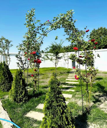 Günlük kirayə evlər: 240 kv. m, 5 otaqlı, İnternet, Su, Qaz -da lalafo.az — 9 Günlük kirayə evlər: 240 kv. m, 5 otaqlı, İnternet, Su, Qaz — 9