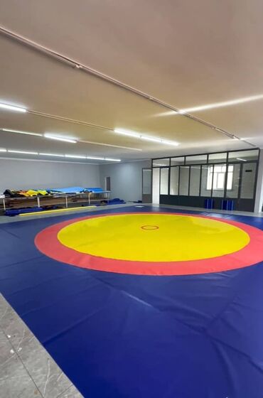 Другие тренажеры: Профессиональные спортивные маты для единоборств Назначение: - борьба — 23