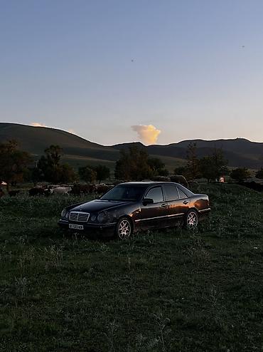 vw sharan: Mercedes-Benz E-Class: 1996 г., 2.9 л, Механика — 6