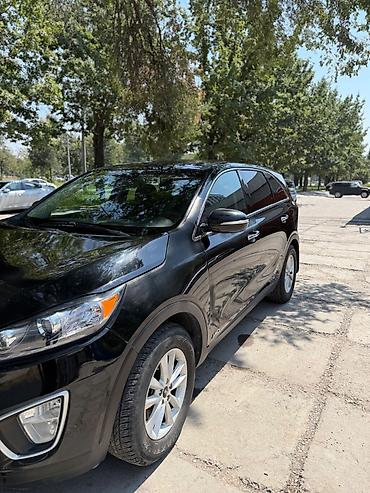 audi 4 2: Kia Sorento: 2019 г., 2.4 л, Автомат, Бензин, Кроссовер — 7