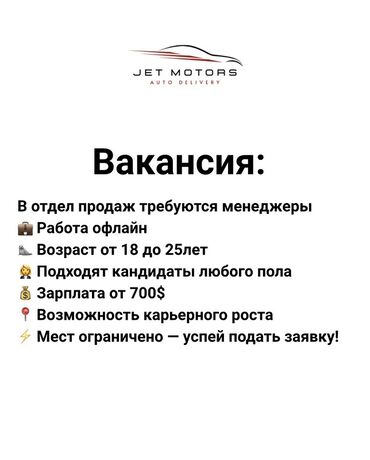 ишу работы: Талап кылынат Сатуу боюнча менеджер, Иш тартиби: Беш күндүк, Толук эмес жумуш күнү, Карьера жактан көтөрүлүү