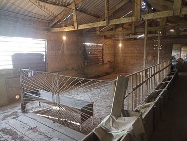 Продажа домов: Дом, 170 м², 6 комнат, Собственник, Косметический ремонт — 24