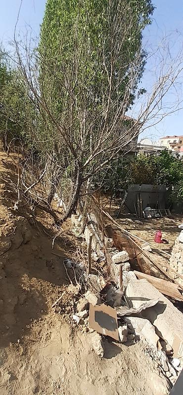 ovuz: 15 sot, Biznes üçün, Mülkiyyətçi, Kupça (Çıxarış), Bələdiyyə, Müqavilə — 5