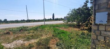 xacmaz simal mall instagram: 14 sot, Biznes üçün, Mülkiyyətçi, Kupça (Çıxarış)