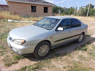 мин булак: Nissan Primera: 2000 г., 1.8 л, Кол менен иштөөчү, Бензин, Седан — 3